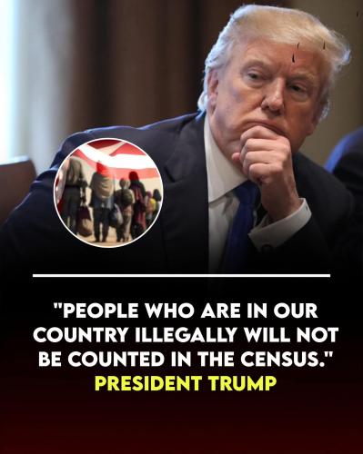 FB_IMG_1765139985215