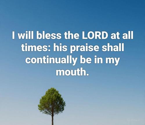 5ca8a381-f9ef-4262-9af2-c0c504d38086