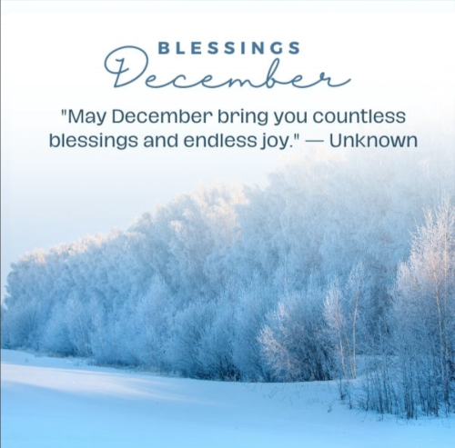 Screenshot_20251201-065317-532