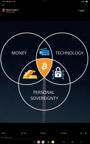 Screenshot_20251213_172705_X