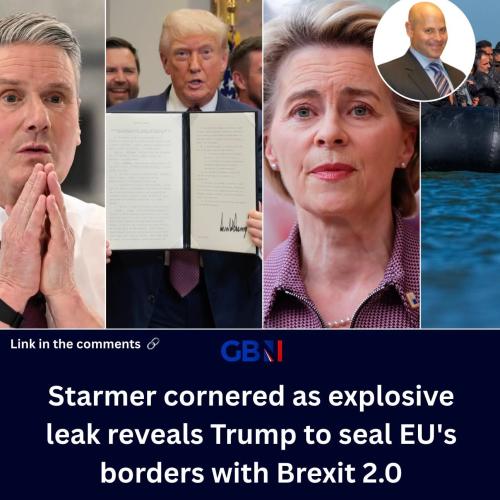 FB_IMG_1765657006921