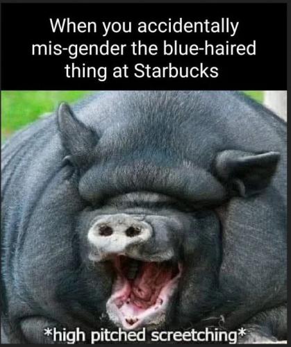 599925743_1881038225857549_8237786898367785716_n