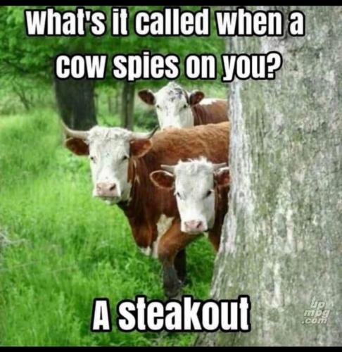 main-qimg-e62856b1b71d57bb4e0bcedaf38a425a