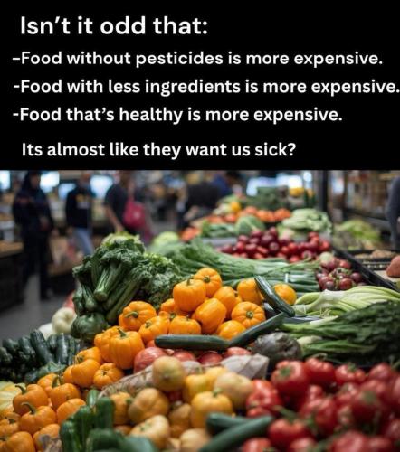 754d03844620db7235caba4e8883165b_1024