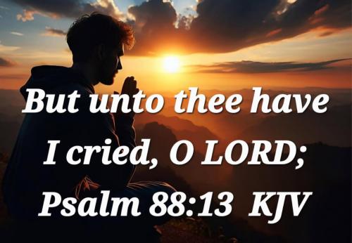 9a6a8133-3025-4938-9b91-ac730aa563b1