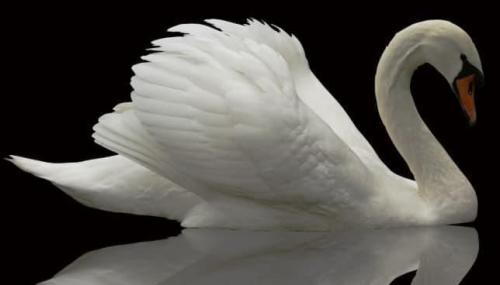 ,          ,  0424775766_746362