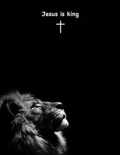 IMG_20251228_112527_774