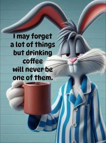 597621998_10243612300631639_7650482666382791811_n