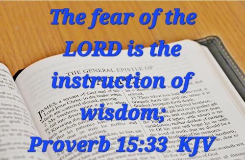 a0ca8033-6305-497f-a3dd-3d6e4f6f9bbf