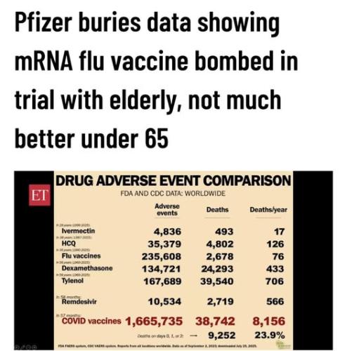 592167908_1438705734929262_8915759815792629394_n