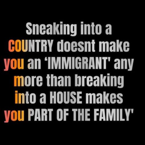 44ee1f81-312b-43a2-a807-0dc6a1f23907