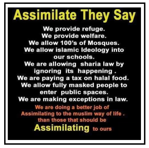 assimilate they say