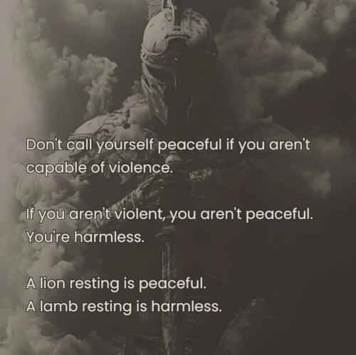 Screenshot_20251226_033004_Instagram