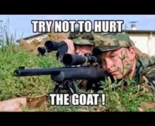 8758bbb5-0c69-43da-8ba5-dc34424564f7