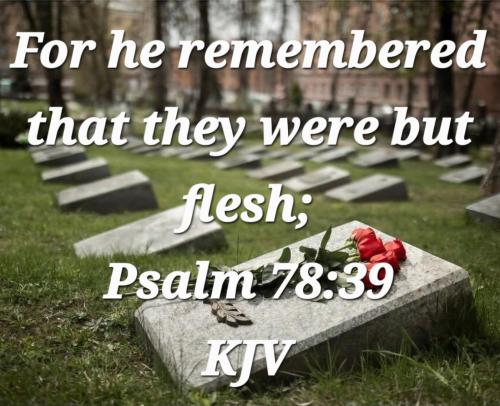 3aa2ac69-3b6b-42b3-9b82-52d313e65321