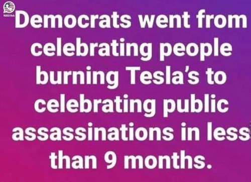 TESTHUB_photos_users_KPBY8Tc46ldqLjWXf6bqxqOW3AR2_-OfFo5YcMJlgzPlt-wen_img_rsz__1100x1100