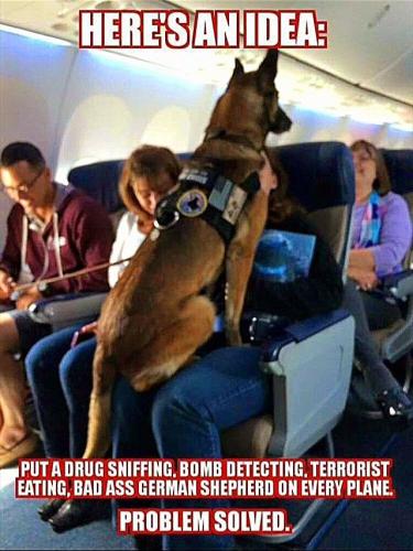 a708b4b3bd31b47ab4ad75efeba1d1ba