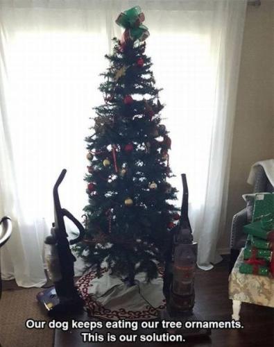 tumblr-post-of-people-who-put-vacuum-cleaners-around-tree-to-keep-dogs-from-eating-ornaments