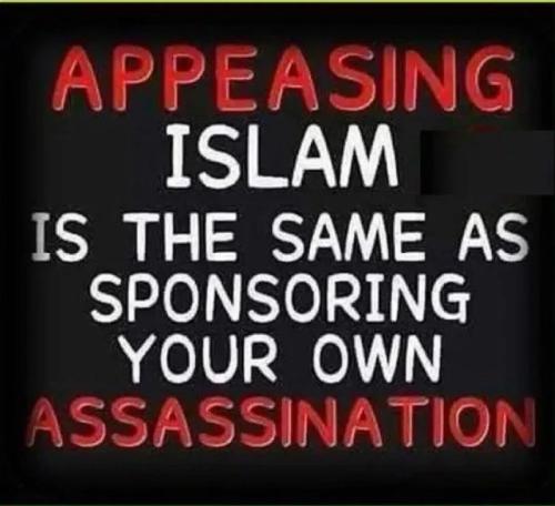 TESTHUB_photos_users_dnYTyq8MRZWjRYKLqG0dHMGyr5V2_-OfNM2B5hRE3lBF0tOsY_img_rsz__1100x1100