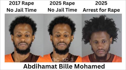 illegal immigration527