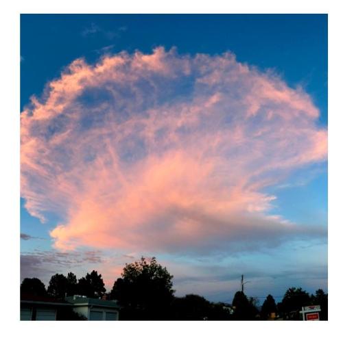 588c782b-3590-45f5-93b0-2ad2afbc5495