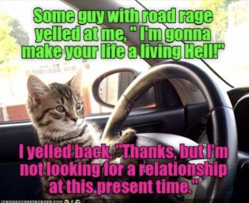 03a07ebc5c910343ed5e592702c69994