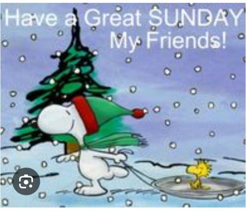 Screenshot_20251221_120021_Google