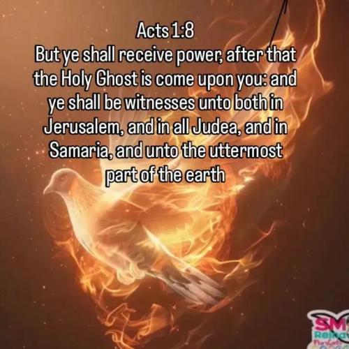 IMG_20251210_110005_771