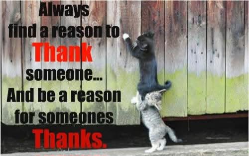 231253fd-850d-4ce1-a055-48533724cf55