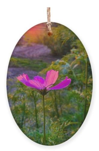 Screenshot_20251204_140722_Brave