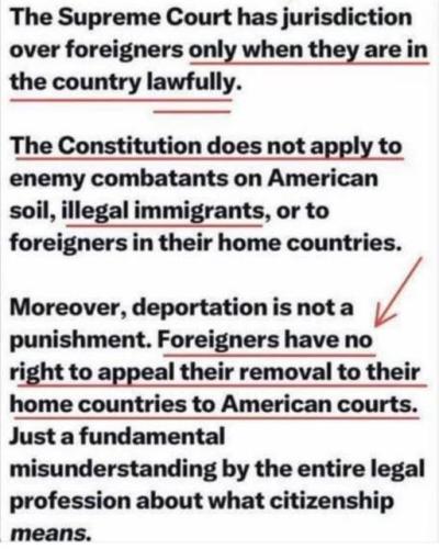 Illegals And The Constitution