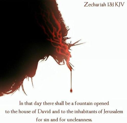 4889e5b2-bba7-4ab2-b02f-fd7e18c24f5f