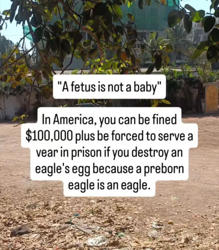 FB_IMG_1766781970799