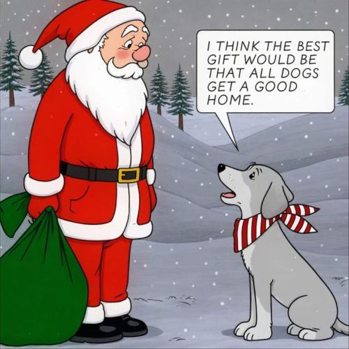 b11bd5bd802ab8b923150cd4cf5c0d8a