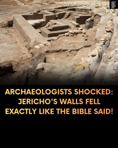 597723203_122272204178023150_7178579322421367372_n