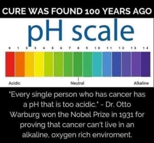 FB_IMG_1764686686382