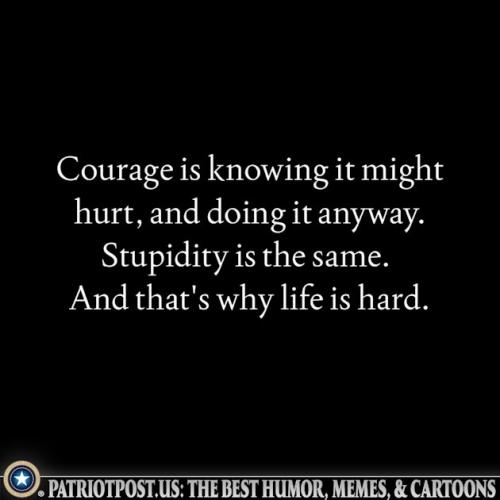 01KCACWC2FEP3KEWSZ7PSBG5PY