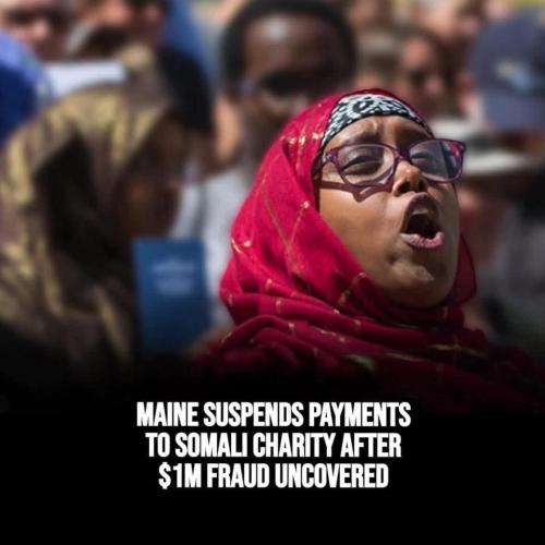 Somalians are fraud theyn don't contribute but fraud