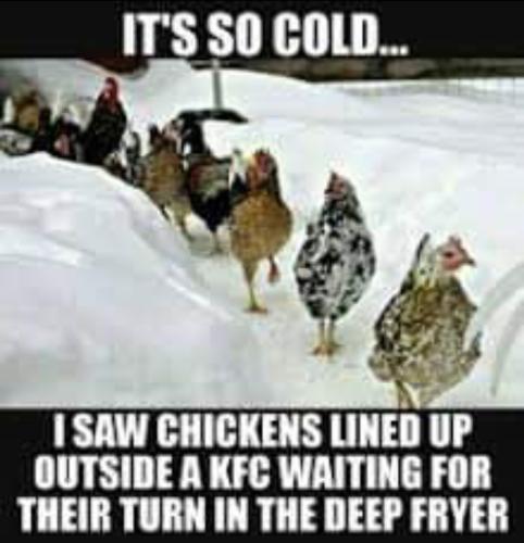 Screenshot_20251130_075421_Gallery