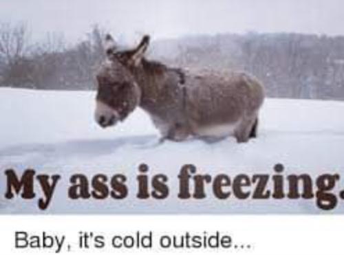 Screenshot_20251217_070911_Gallery