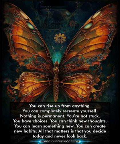 IMG_20251214_132349_149