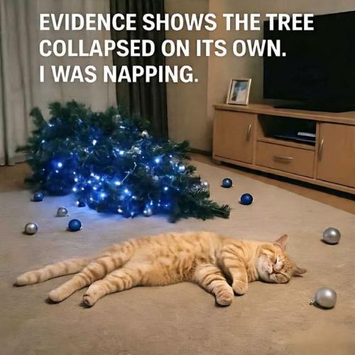 d0a9cc03d438eebde581dda8e275da2b