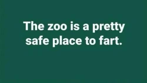 zoo-is-safe-place-to-fart