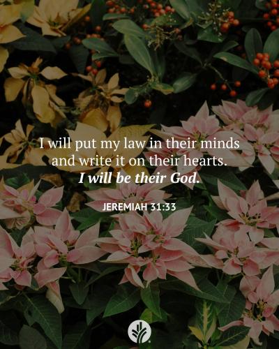 FB_IMG_1766928991192