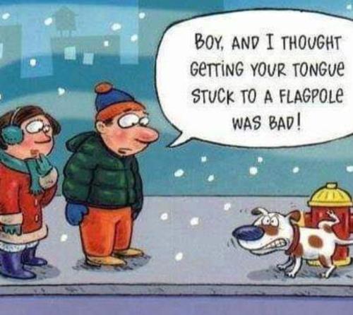 Screenshot_20251204_130958_Gallery