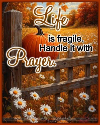 eb24493c1e62cd35cc918a0c56501357