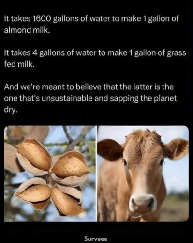 0a658a7e-cc83-43e9-8384-8ffcbf6f2812