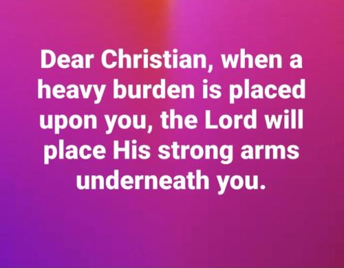 c1f91732-8208-4f51-a66e-f0fc6c67880b