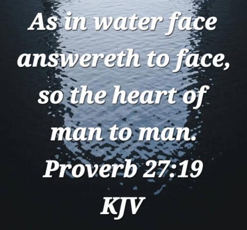 18a65605-6a36-477e-9836-cd9b04ad78e8