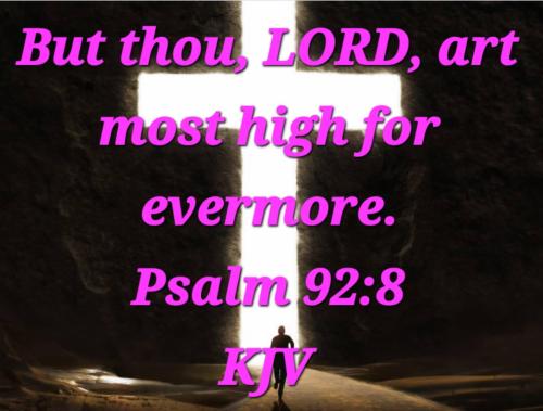 26701063-8b94-4971-b882-a66502df9999